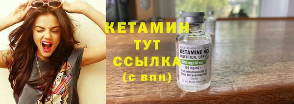 мдпв Новозыбков