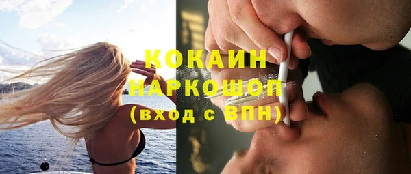 соль ск Новодвинск