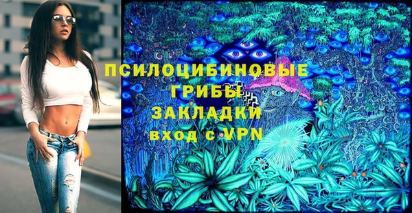 соль ск Новодвинск