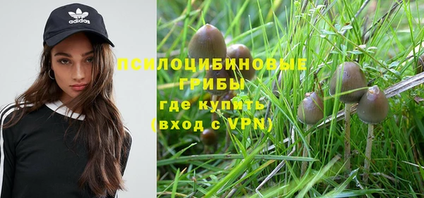 молекула духа Новокубанск