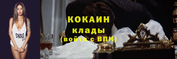 мдпв Новозыбков