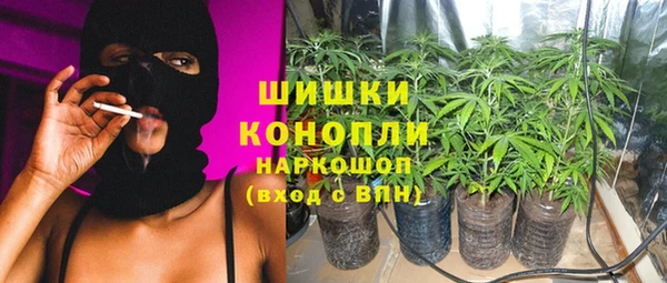 соль ск Новодвинск