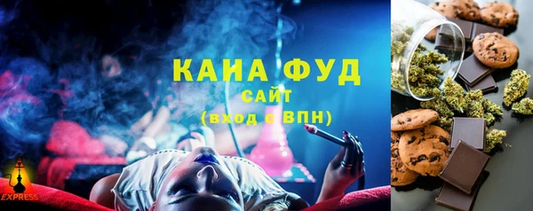 мдпв Новозыбков
