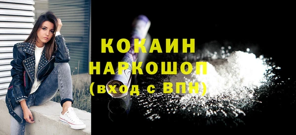 мдпв Новозыбков
