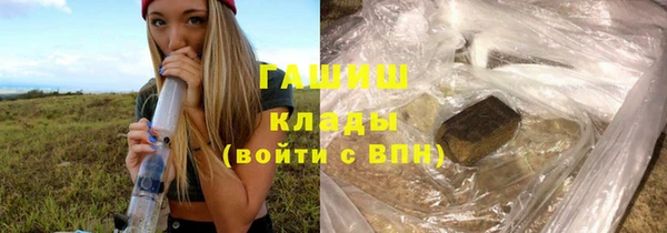 мдпв Новозыбков